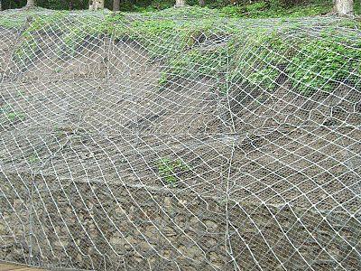 主動防護(hù)網(wǎng)